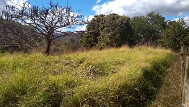 Samuel Pereira oferece: Haras completo, estrutura pronta para sua criação, água, irrigação no pasto